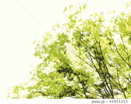 グリーンの背景 42955153