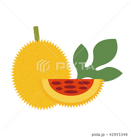 Healthy organic gac fruit 42955346