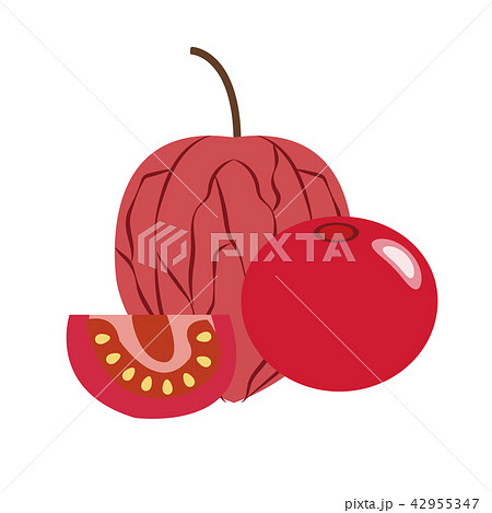Healthy organic red cape gooseberry physalis Healthy organic red cape gooseberry physalis 42955347