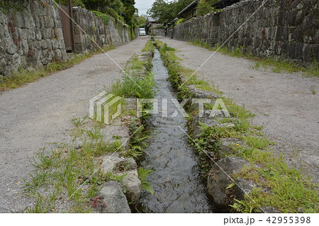 【長崎県】島原城下町の武家屋敷 【長崎県】島原城下町の武家屋敷 42955398