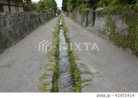 【長崎県】島原城下町の武家屋敷 【長崎県】島原城下町の武家屋敷 42955414