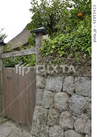 【長崎県】島原城下町の武家屋敷 【長崎県】島原城下町の武家屋敷 42955415