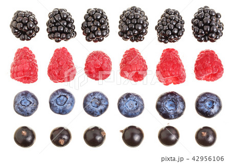 blackberry blueberry raspberry black currant isolated on white background. Top view. Set or blackberry blueberry raspberry black currant isolated on white background. Top view. Set or 42956106