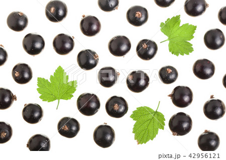 black currant with leaf isolated on white background. Top view. Flat lay pattern 42956121