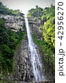 和歌山の那智の滝 42956270