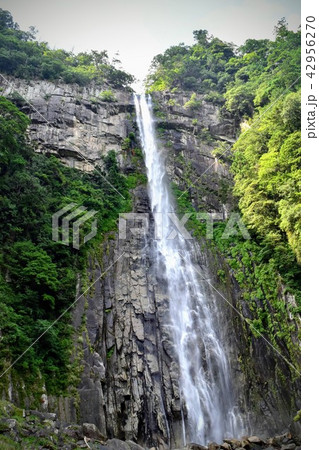 和歌山の那智の滝 42956270