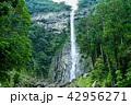 和歌山の那智の滝 42956271