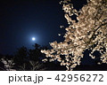 夜桜と月 42956272