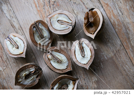 くるみ くるみ 42957021