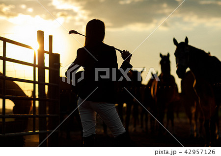rider woman with whip at the sunset rider woman with whip at the sunset 42957126
