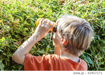 Little Boy with Binoculars looking over the green hedge 42957171