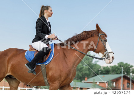 Rider elegant woman riding her horse outside 42957174