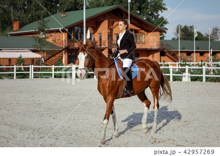 Rider elegant woman riding her horse outside 42957269