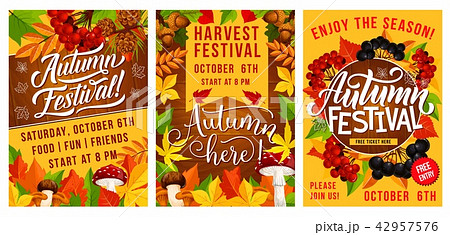 Autumn festival of harvest poster with fall leaves Autumn festival of harvest poster with fall leaves 42957576