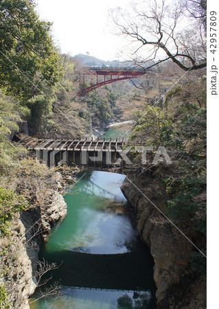 大月市　桂川渓谷 42957809