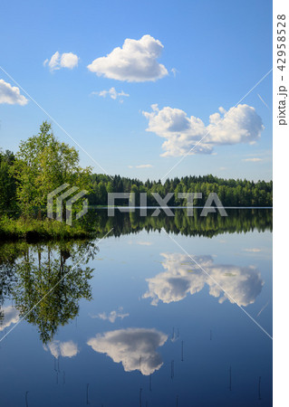Sky reflects from lake at summer day 42958528