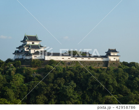 和歌山城 和歌山城 42958786