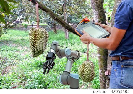 Industrial robotic for assistant in durian garden Industrial robotic for assistant in durian garden 42959509