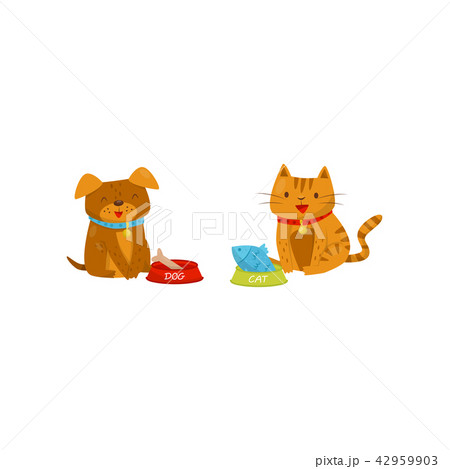 Funny dog and cat eating food, cute domestic pet animals cartoon characters, best friends vector 42959903