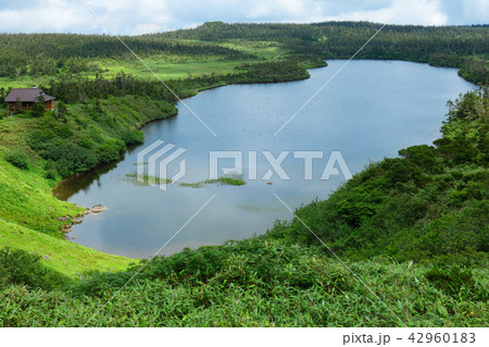 八幡沼とニッコウキスゲなど　岩手県八幡平市　陸雲荘 42960183