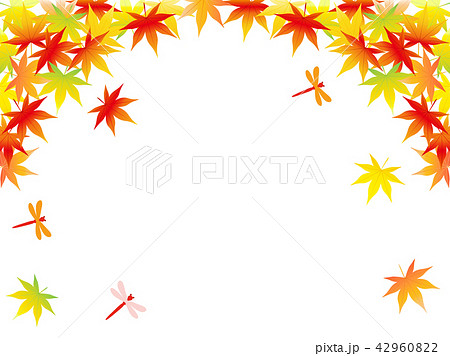 紅葉16 42960822