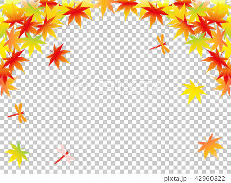 紅葉16 42960822