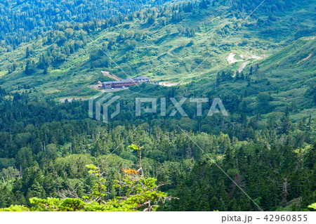 八幡平山頂付近より藤七温泉方面の山並みを望む 岩手県八幡平市 八幡平山頂付近より藤七温泉方面の山並みを望む 岩手県八幡平市 42960855