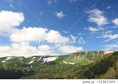 夏の大雪山　雪渓が残る高根ヶ原 42961304