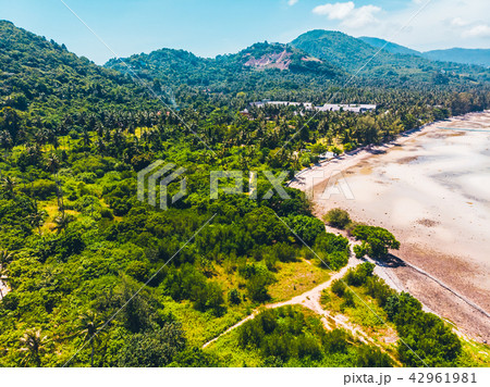 Aerial view of beautiful tropical beach and sea with trees on island 42961981