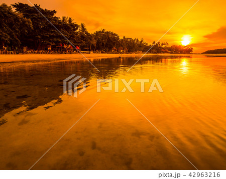 Beautiful tropical beach sea and ocean with coconut palm tree at sunrise time Beautiful tropical beach sea and ocean with coconut palm tree at sunrise time 42963216