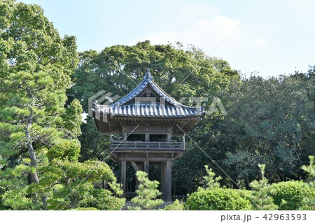 野間大坊 本殿 鐘楼堂 巡拝路 大門 悠紀殿 野間大坊 本殿 鐘楼堂 巡拝路 大門 悠紀殿 42963593