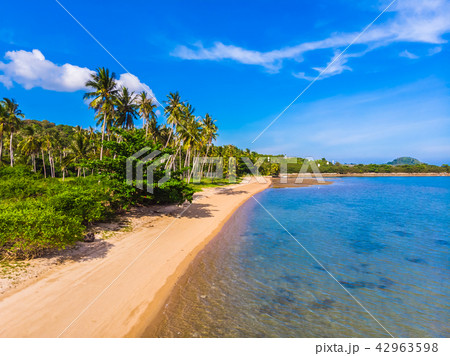 Aerial view of beautiful tropical beach and sea with palm and other tree in koh samui island 42963598