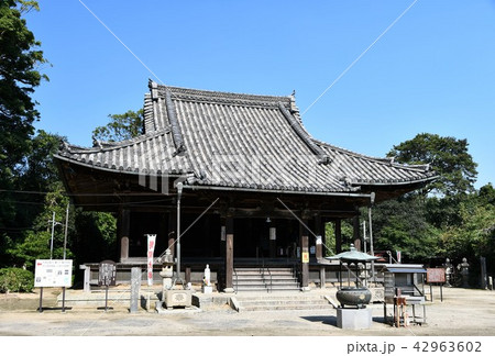 野間大坊　本殿　鐘楼堂　巡拝路　大門　悠紀殿 42963602