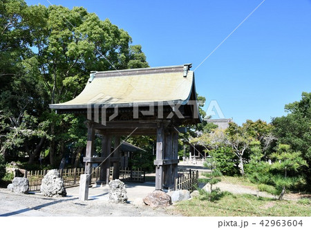 野間大坊　本殿　鐘楼堂　巡拝路　大門　悠紀殿 42963604