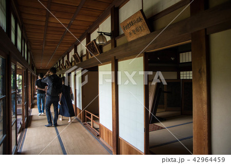 寅さんの故郷柴又帝釈天（たいしゃくてん）　邃渓園（すいけい）　近くには矢切の渡しや寅さん記念館がある 42964459