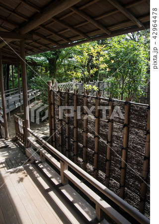 寅さんの故郷柴又帝釈天（たいしゃくてん）　邃渓園（すいけい）　近くには矢切の渡しや寅さん記念館がある 42964478