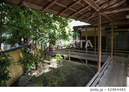 寅さんの故郷柴又帝釈天（たいしゃくてん）　邃渓園（すいけい）　近くには矢切の渡しや寅さん記念館がある 42964483