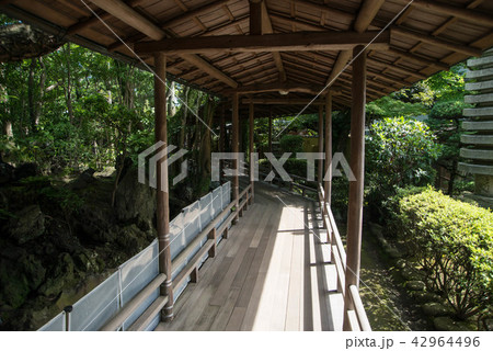 寅さんの故郷柴又帝釈天（たいしゃくてん）　邃渓園（すいけい）　近くには矢切の渡しや寅さん記念館がある 42964496