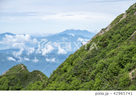 権現岳への道を進む登山者 権現岳への道を進む登山者 42965741