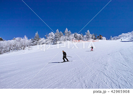 ゲレンデを滑走するスキーヤー 42965908