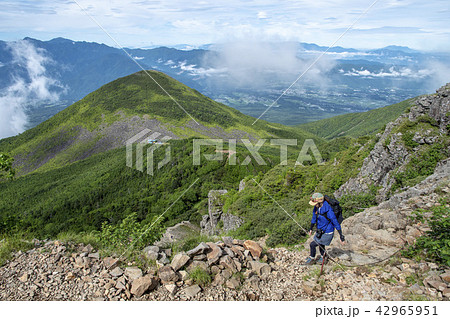 編笠山をバックに権現だけを目指す女性登山者 42965951