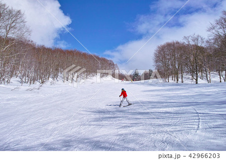 ゲレンデを滑走する初心者スキーヤー 42966203