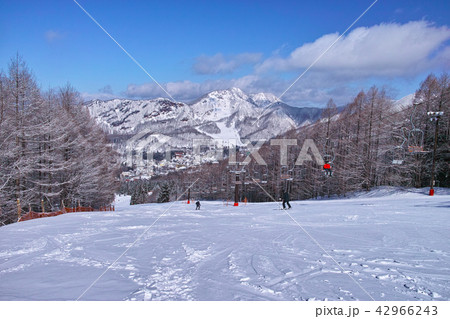 スキー場 42966243