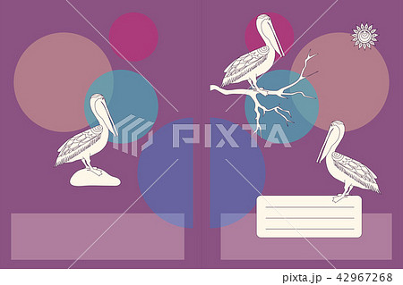 Design school notebook with cartoon pelicans 42967268