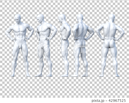 男性　ポーズ　ヌード　白　perming3DCG イラスト素材 42967525