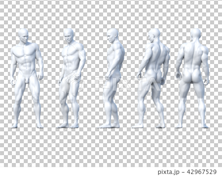 男性　ポーズ　ヌード　白　perming3DCG イラスト素材 42967529