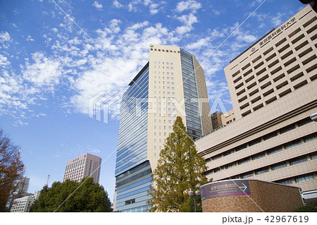 東京医科歯科大学周辺の風景 東京医科歯科大学周辺の風景 42967619