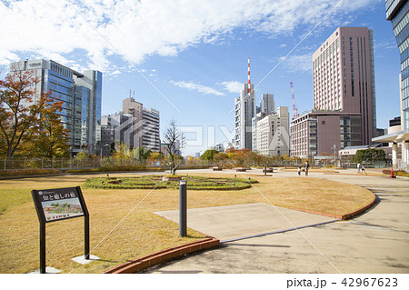 屋上庭園「知と癒しの庭」 屋上庭園「知と癒しの庭」 42967623