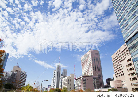 文京区湯島の風景 42967628