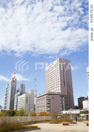屋上庭園「知と癒しの庭」 42967630